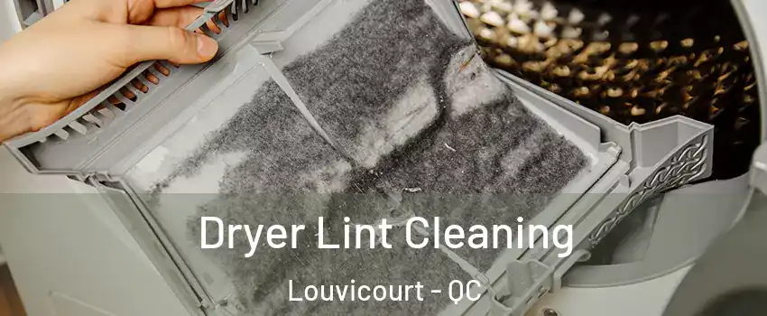  Dryer Lint Cleaning Louvicourt - QC