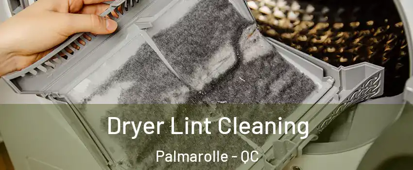  Dryer Lint Cleaning Palmarolle - QC