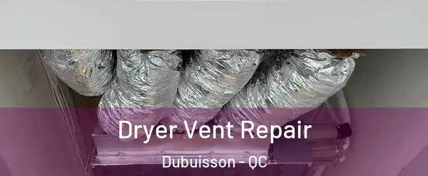 Dryer Vent Repair Dubuisson - QC