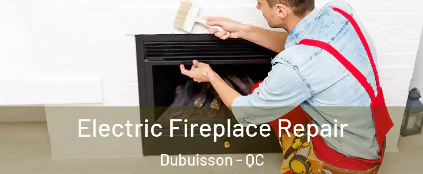  Electric Fireplace Repair Dubuisson - QC