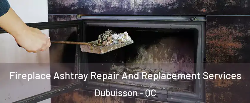  Fireplace Ashtray Repair And Replacement Services Dubuisson - QC