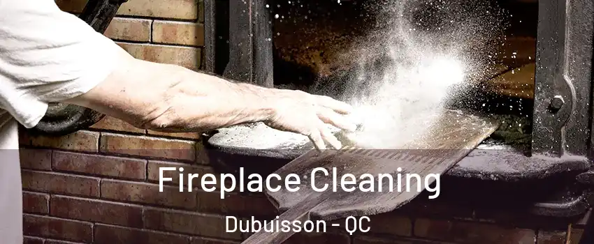  Fireplace Cleaning Dubuisson - QC