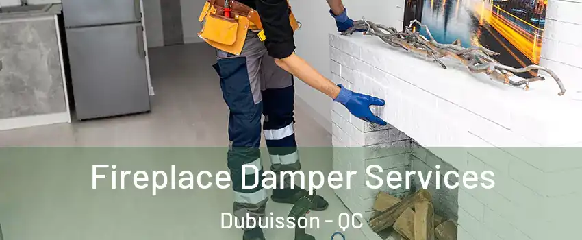  Fireplace Damper Services Dubuisson - QC