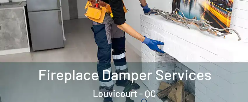  Fireplace Damper Services Louvicourt - QC