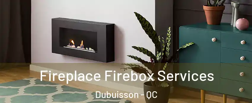  Fireplace Firebox Services Dubuisson - QC