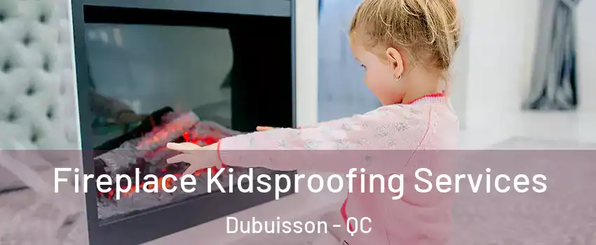  Fireplace Kidsproofing Services Dubuisson - QC