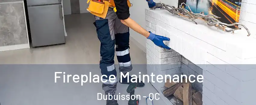  Fireplace Maintenance Dubuisson - QC