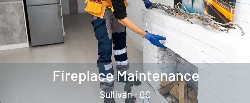  Fireplace Maintenance Sullivan - QC