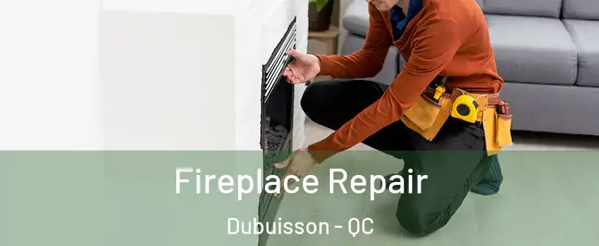  Fireplace Repair Dubuisson - QC