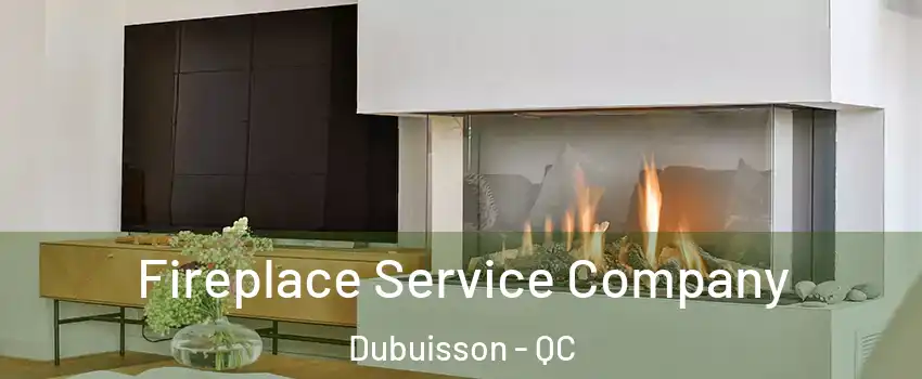  Fireplace Service Company Dubuisson - QC