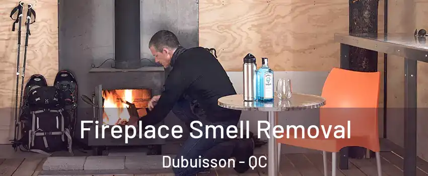  Fireplace Smell Removal Dubuisson - QC