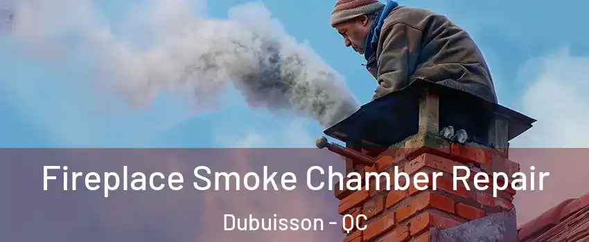  Fireplace Smoke Chamber Repair Dubuisson - QC