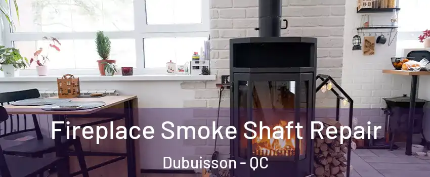  Fireplace Smoke Shaft Repair Dubuisson - QC