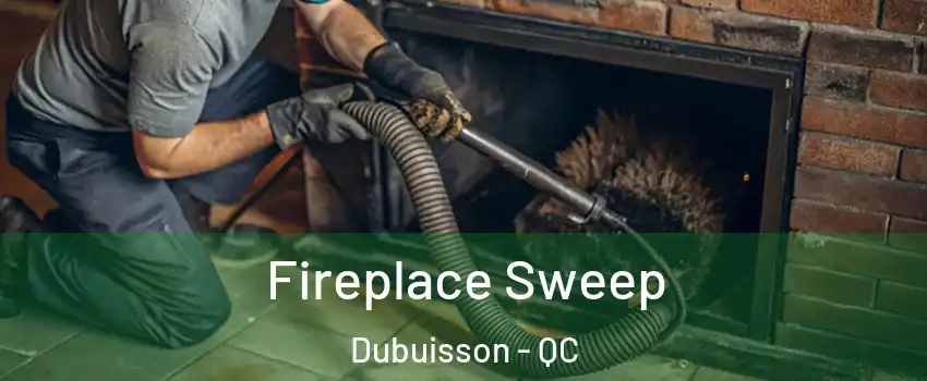  Fireplace Sweep Dubuisson - QC