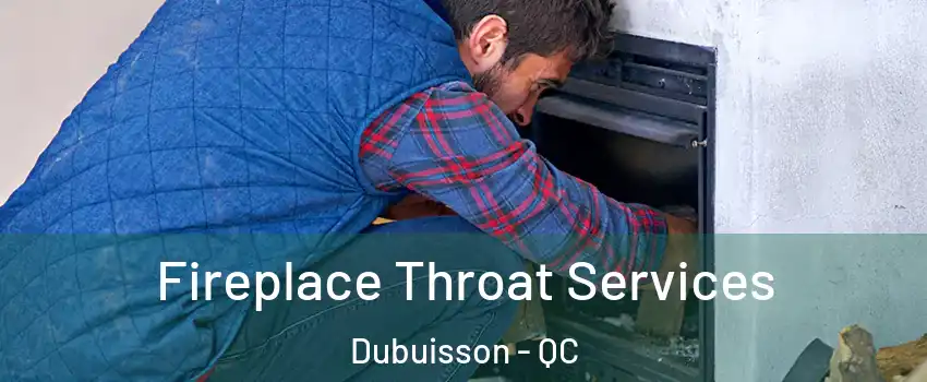  Fireplace Throat Services Dubuisson - QC
