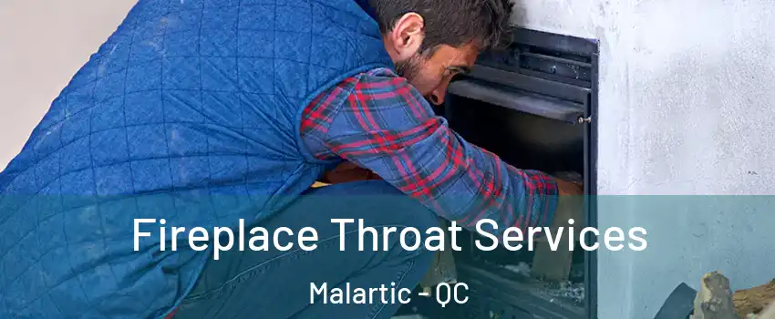  Fireplace Throat Services Malartic - QC