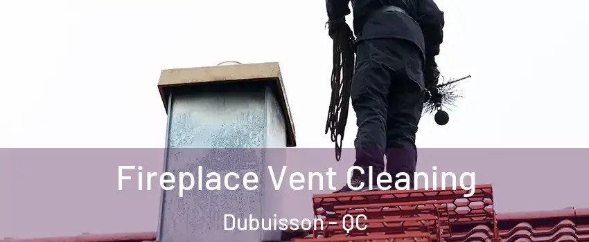  Fireplace Vent Cleaning Dubuisson - QC