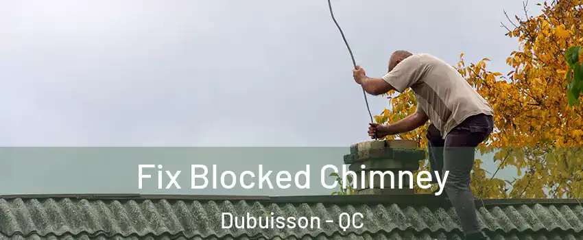  Fix Blocked Chimney Dubuisson - QC
