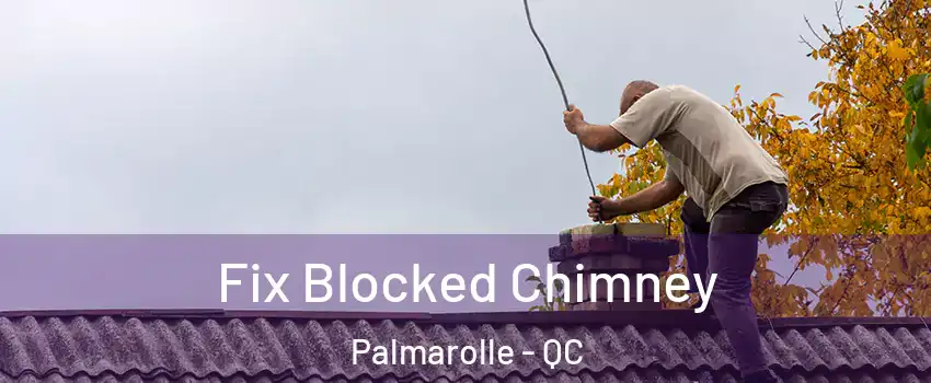  Fix Blocked Chimney Palmarolle - QC
