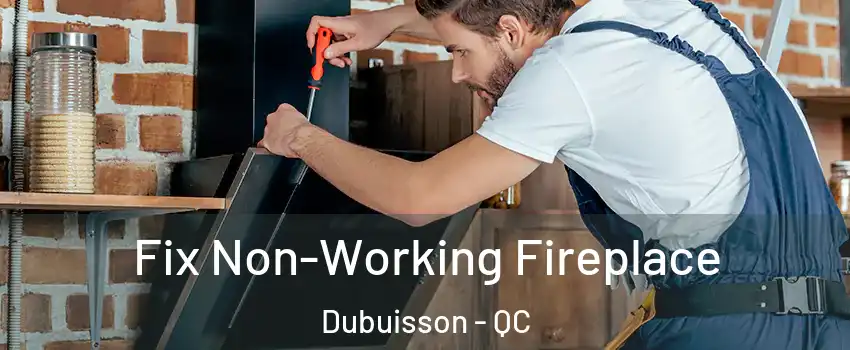  Fix Non-Working Fireplace Dubuisson - QC