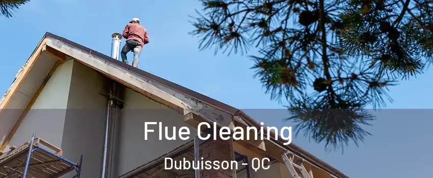  Flue Cleaning Dubuisson - QC