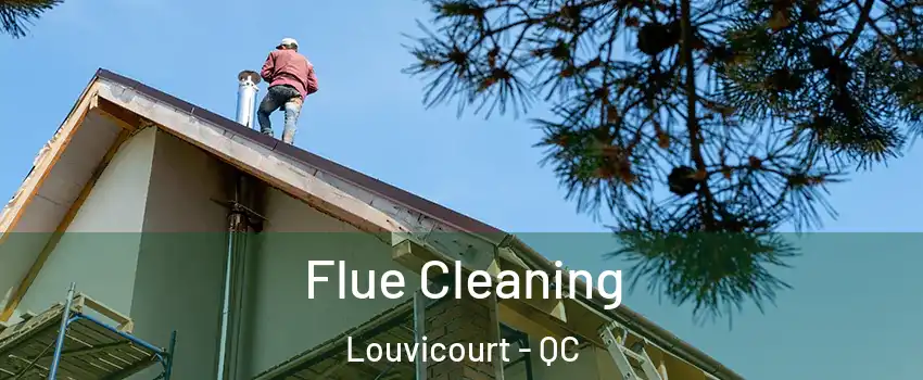  Flue Cleaning Louvicourt - QC