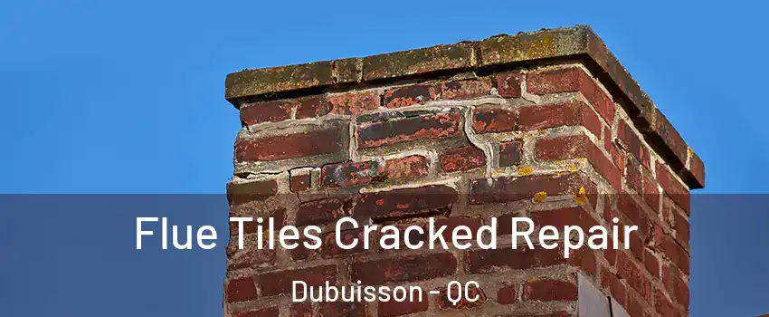  Flue Tiles Cracked Repair Dubuisson - QC