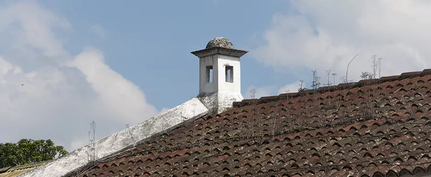 Wind-Resistant Chimney Caps Installation and Repair Services in Val dOr, Quebec