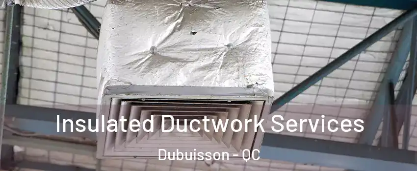  Insulated Ductwork Services Dubuisson - QC