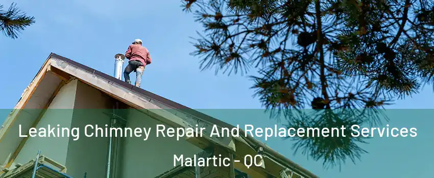  Leaking Chimney Repair And Replacement Services Malartic - QC