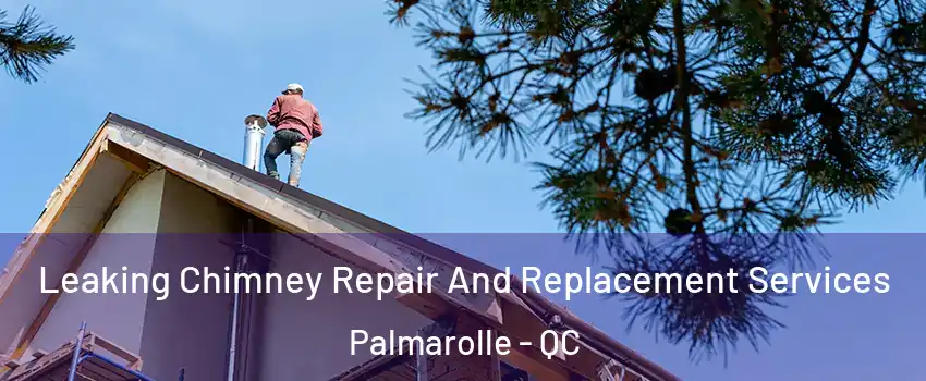  Leaking Chimney Repair And Replacement Services Palmarolle - QC