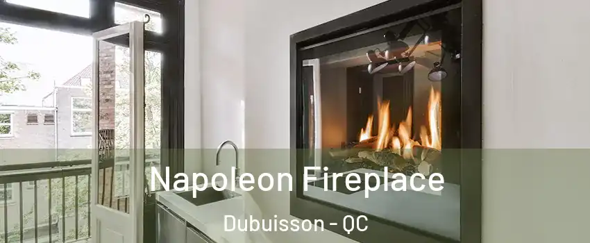  Napoleon Fireplace Dubuisson - QC