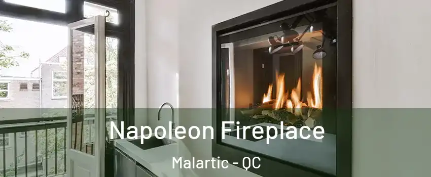  Napoleon Fireplace Malartic - QC