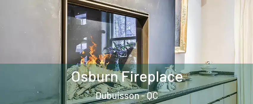  Osburn Fireplace Dubuisson - QC