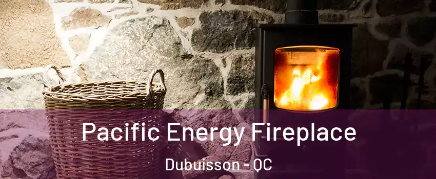  Pacific Energy Fireplace Dubuisson - QC