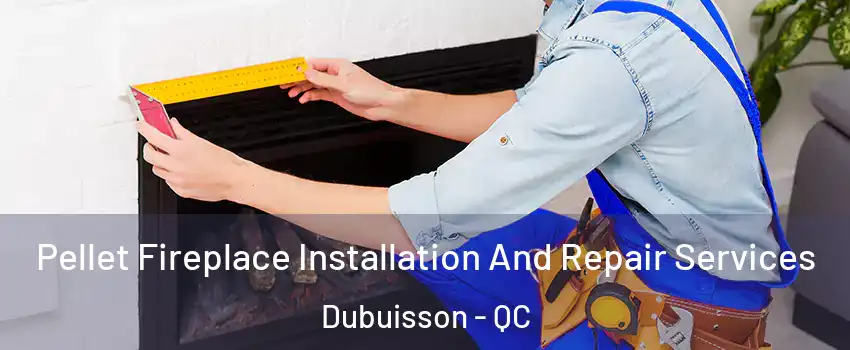  Pellet Fireplace Installation And Repair Services Dubuisson - QC