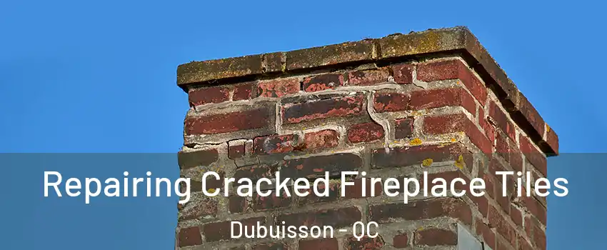  Repairing Cracked Fireplace Tiles Dubuisson - QC