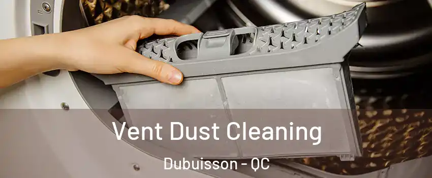  Vent Dust Cleaning Dubuisson - QC