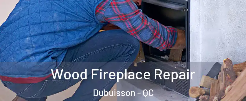 Wood Fireplace Repair Dubuisson - QC