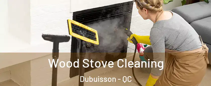  Wood Stove Cleaning Dubuisson - QC