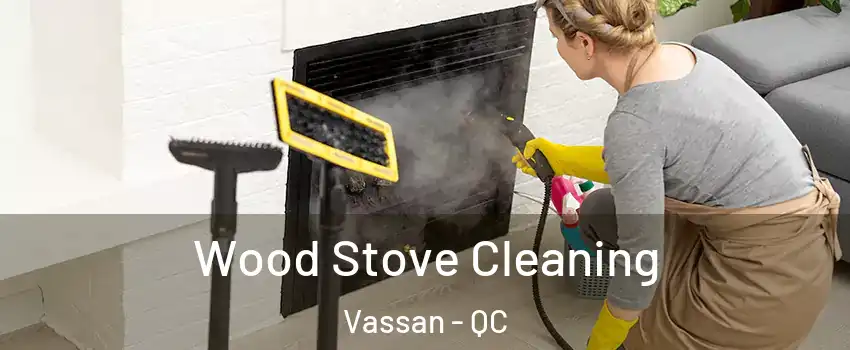  Wood Stove Cleaning Vassan - QC